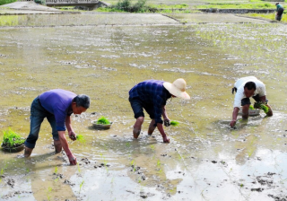 抖音8.2万人围观：“身边月入过万的人很普遍”