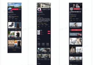 抖音种草模式：抓住双十一最省钱的宣传模式抖音双十一成交额（抖音种草怎么赚钱）