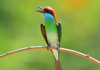 搜狗怎么开户？广告怎么收费？