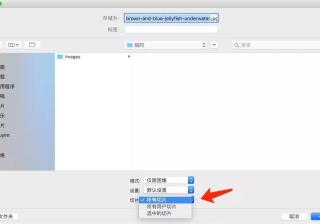 抖音直播带货没有流量怎么办？有哪些方法？(抖音直播带货没人看怎么办)