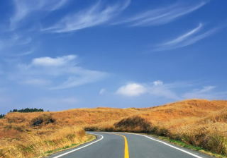 黑龙江搜狗开户找谁？搜狗推广啤酒成本有多少？