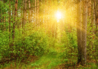 小红书推广怎么做？小红书开户怎么收费？