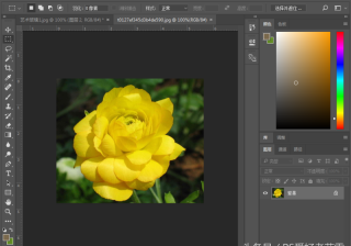 ps柔化边缘功能在哪（ps让边缘模糊自然的办法）