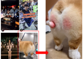 【快手新广告位上线】双列内流信息流新增上下滑大屏广告 - 快手推广平台