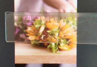 ps打印尺寸怎么调整（把图片打印成指定尺寸的步骤）