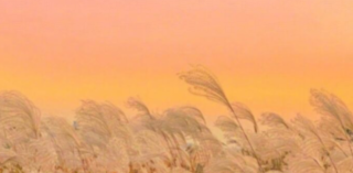 小红书广告投放服装有哪些技巧？信息流开户怎么收费？