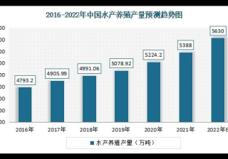 关于小龙虾行业在微信朋友圈广告的营销解决方案（上）