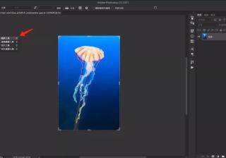 ps删除切片工具（删除切片器中的部分项）
