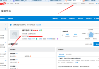 手机淘宝认证在哪里打开（淘宝店铺认证信息填写）