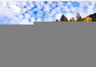 什么是淘宝账号违规行为（淘宝一般违规行为具体内容）