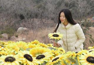 阿里分销客是什么样（阿里巴巴做分销的办法）