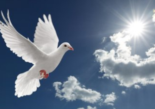 同步淘宝店铺商品发自己店铺可以吗（淘宝一键转发宝贝到店铺）