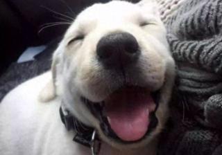 申请淘宝号怎么弄出来（免费注册淘宝账号流程）