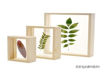 淘抢购收费规范是什么（淘宝平台交易规则）