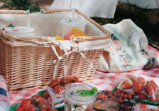 小红书干货：小红书投放的无边界游戏是什么样子?