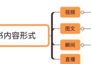 小红书官方公布平台数据及最全视频笔记解析指南！