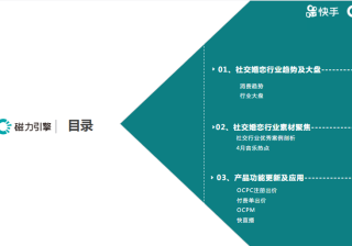 《快手社交婚恋行业报告4月版》 | 快手开户代理商平台