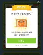 拼多多托管运营揭秘：如何让你的店铺脱颖而出？