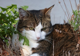 产品网络推广的平台（2022年最实用的网络推广平台大盘点）