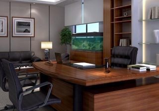 2020年字节广告收入超越腾讯百度 商业变现全面突进