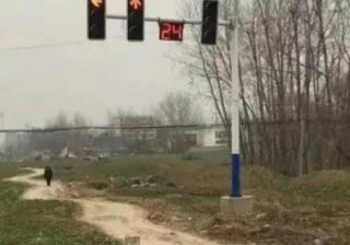 抖音想快速涨粉，快速提高浏览量做好这几点，