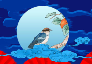 抖音网红运营指南（建议收藏）