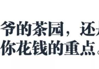 你暗恋的抖音网红，正在骗你的钱