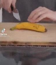 因为智商正常，他成了抖音第二大网红