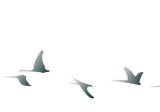 我的病连医生都害怕，却被我的精神病室友治好