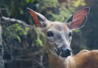 小红书信息流怎么开户?