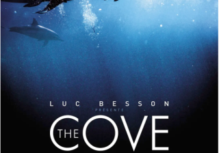 今天这篇文章，就分享下这 3 周我从他们身上快手广告