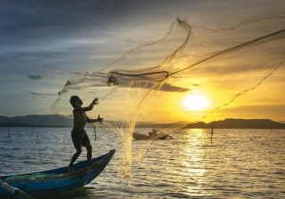 谷歌代理商是哪家？谷歌跑母婴效果好吗？