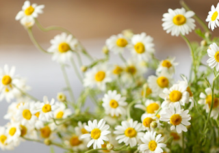 快手广告的展现形式有哪些？有哪些优点？