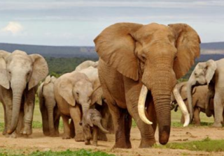 广东360搜索开户代理商电话是多少？跑按摩产品效果怎么样？