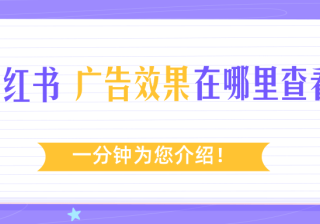 小红书广告投放流程是怎样的？小红书广告效果如何查看？