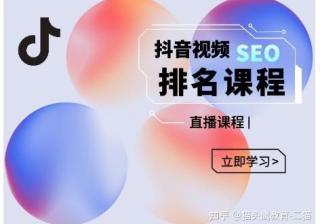 森淼·抖音SEO排名引流变现，教你如何布局抖音SEO获取更 ...