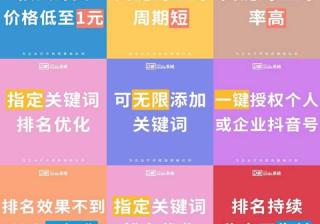 什么是抖音SEO，如何利用抖音SEO