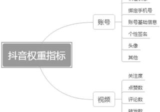 咱一起来看《抖音运营》