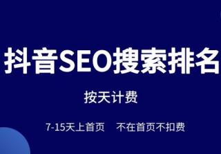 武汉抖音seo优化