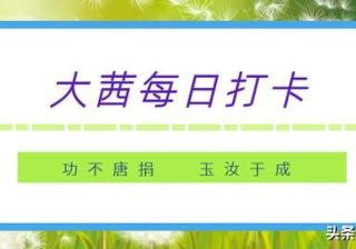 抖音账号运营干货技巧（七）：如何稳定抖音账号的播放量
