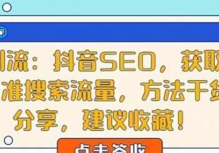 引流：抖音SEO，获取精准搜索流量，干货知识分享