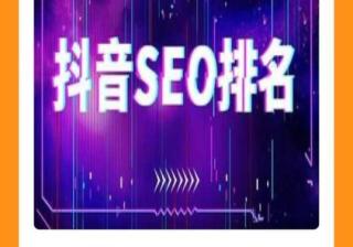 西安抖音SEO获客引流教程，抖音SEO免费教程分享