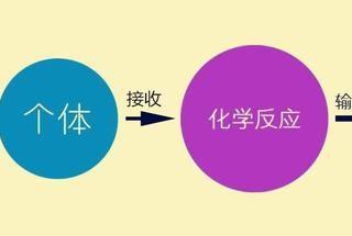 抖音运营从零起步，个人如何运营抖音账号？