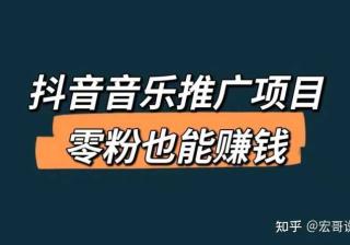 抖音音乐推广项目，零粉接单赚钱，轻松日入500+