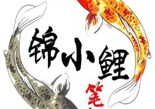 2022如何做好抖音SEO？2022如何做好抖音SEO？2022如何 ...