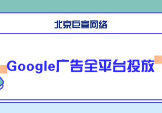 Google广告推广：制作广告和广告系列-在发现广告系列中使用潜在客户表单