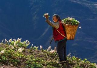 （六百三十五）萧条