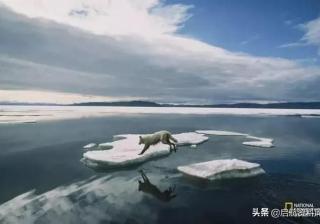 国家地理中文网：小探险家双语百科50集音频+视频+知识卡，可下载