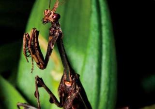 这些冷知识，你都知道嘛？