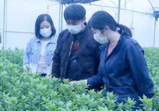 龙文：不负春光不误农时 气象助力春耕生产